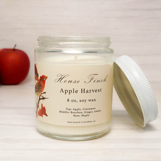 House Finch: Apple Harvest Scented Candle