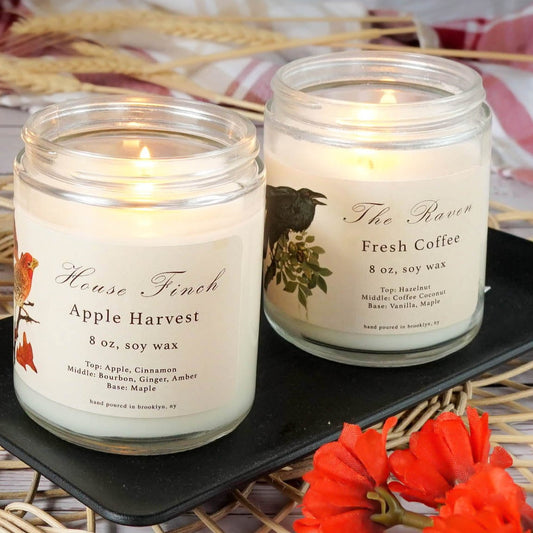 Fall Candle Collection 5 Pack Gift Set