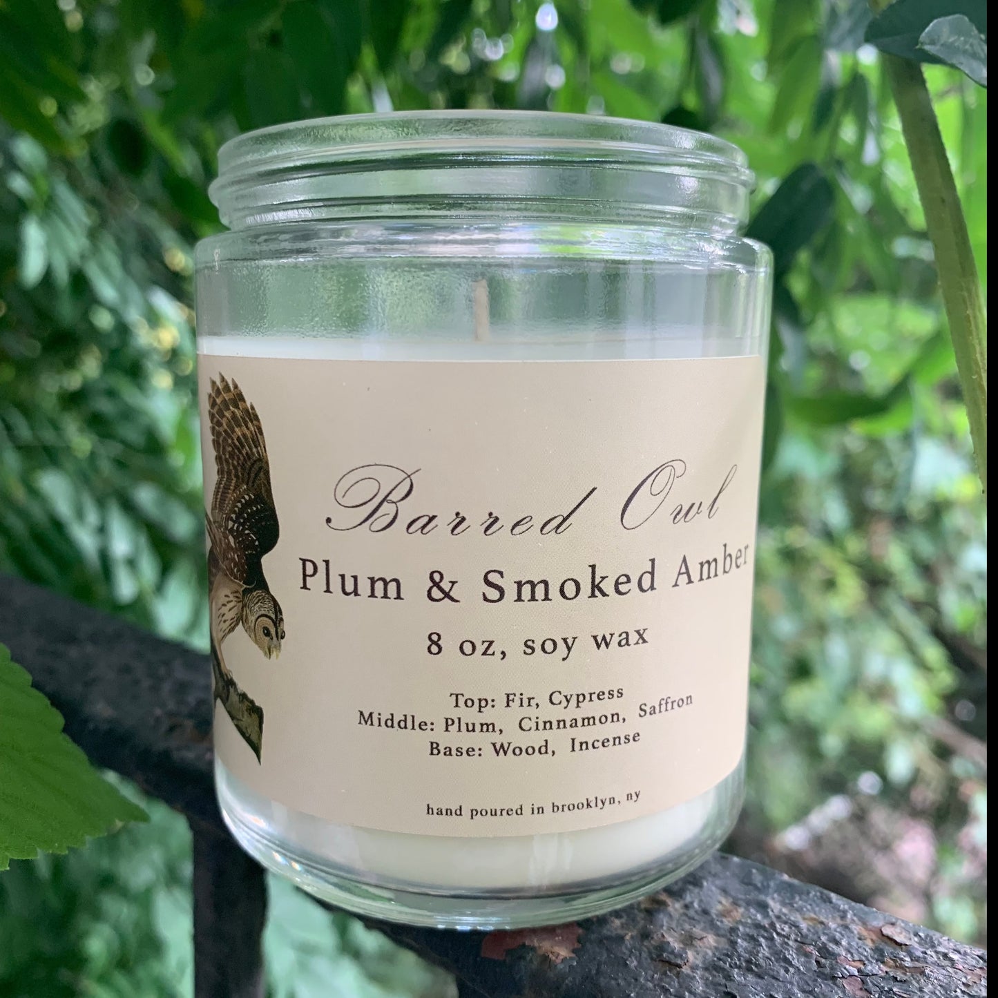 Barred Owl: Plum & Smoked Amber Scented Candle