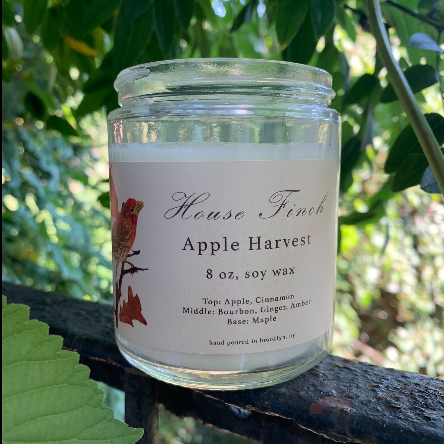 House Finch: Apple Harvest Scented Candle