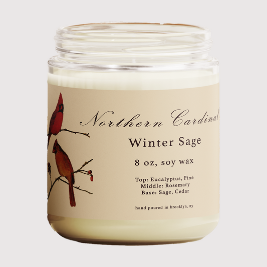 Northern Cardinal: Winter Sage Scented Candle
