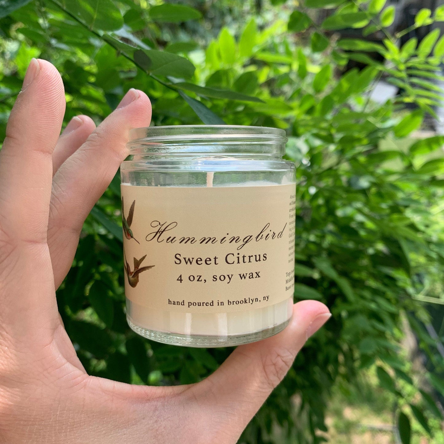 Hummingbird: Agave Citrus Scented Candle